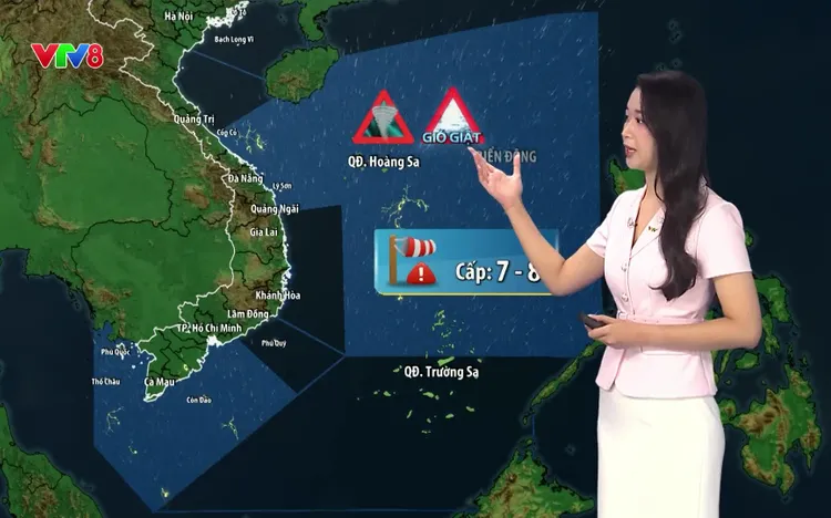 Bản tin thời tiết ngày 08/09/2026: Miền Trung và Nam Bộ mưa dông, biển động mạnh