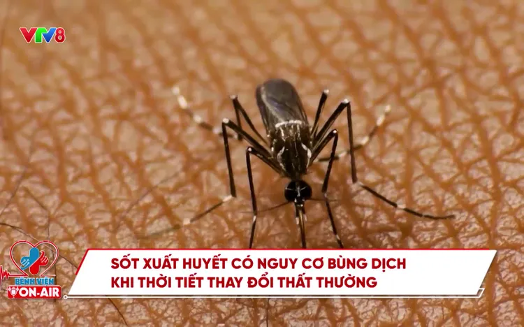 Bệnh viện On Air số 2: Phẫu thuật robot 1 cổng single - site