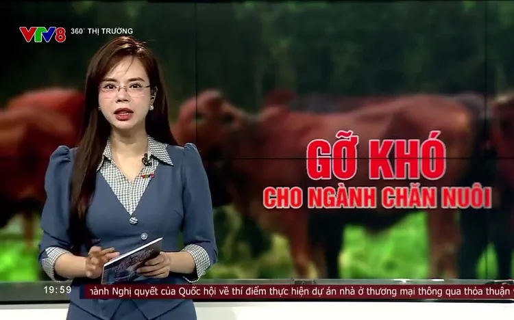 360 độ thị trường - 02/4/2025