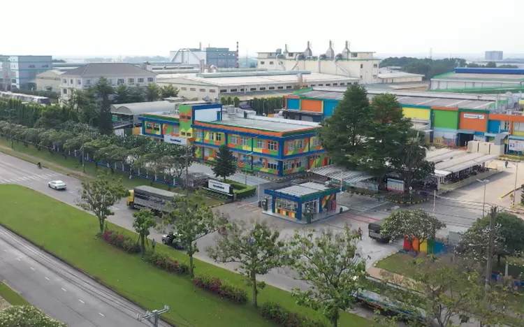 Phim Tài liệu: Những viên gạch hồng
