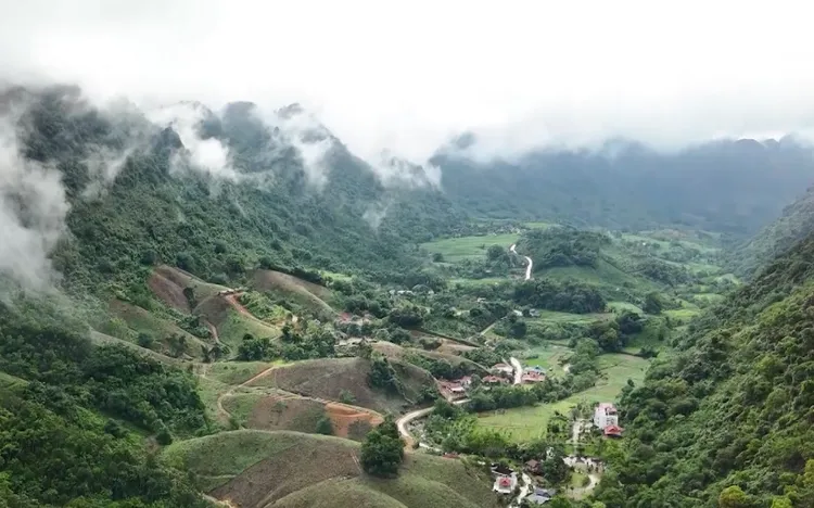 Chín tầng mây giữa đại ngàn 