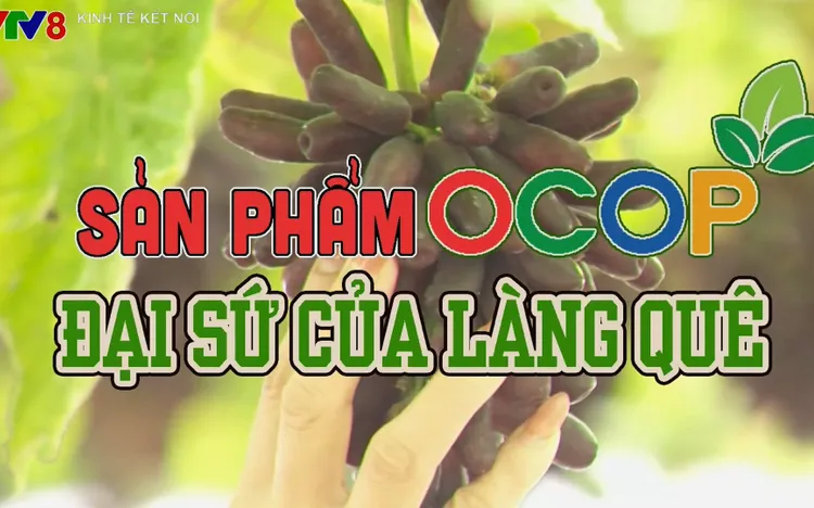 Tiêu điểm: Sản phẩm OCOP - Đại sứ của làng quê 