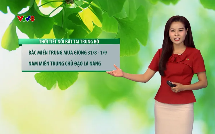 Dự báo thời tiết kỳ nghỉ lễ 2/9:  Địa điểm nào phù hợp để ngắm pháo hoa và du lịch với thời tiết lý tưởng? 