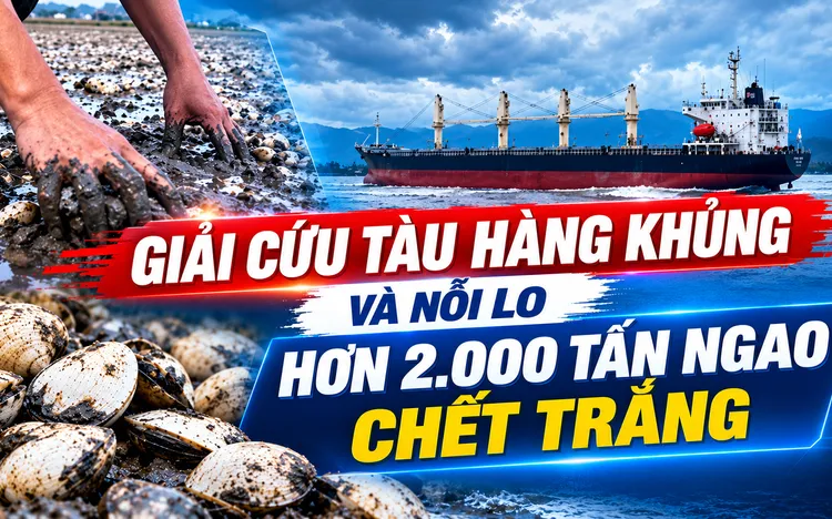 Tin tổng hợp ứng phó thiên tai: Giải cứu tàu hàng khủng và nỗi lo hơn 2.000 tấn ngao chết trắng, nguyên nhân do đâu?
