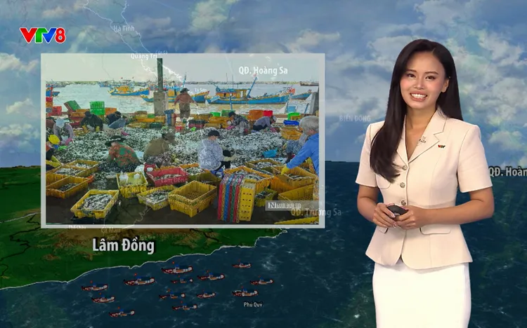  THỜI TIẾT BIỂN ( Ngày 15/09) Thời tiết vùng biển Nam Bộ trái ngược khu vực Bắc Trung Bộ, cảnh báo gió giật cấp 7-8