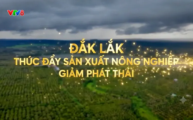 Nông nghiệp xanh: Đắk Lắk thúc đẩy sản xuất nông nghiệp giảm phát thải