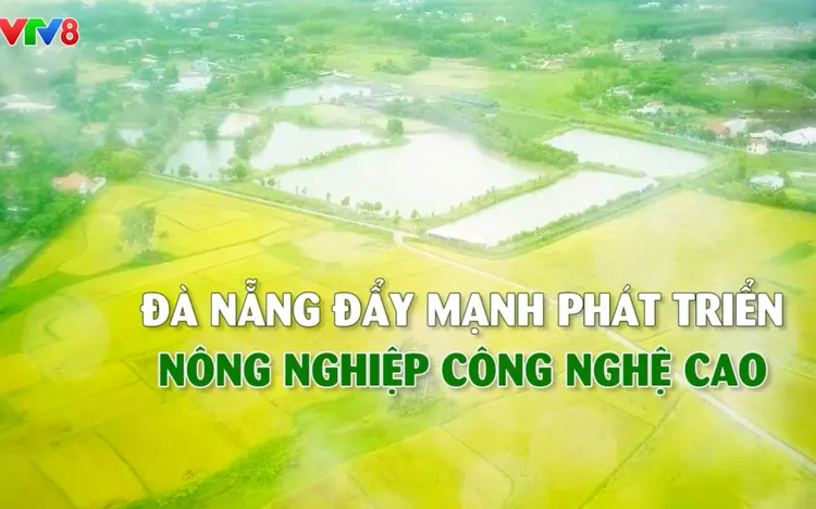 Nông sản kể chuyện: Đà Nẵng đẩy mạnh phát triển nông nghiệp công nghệ cao