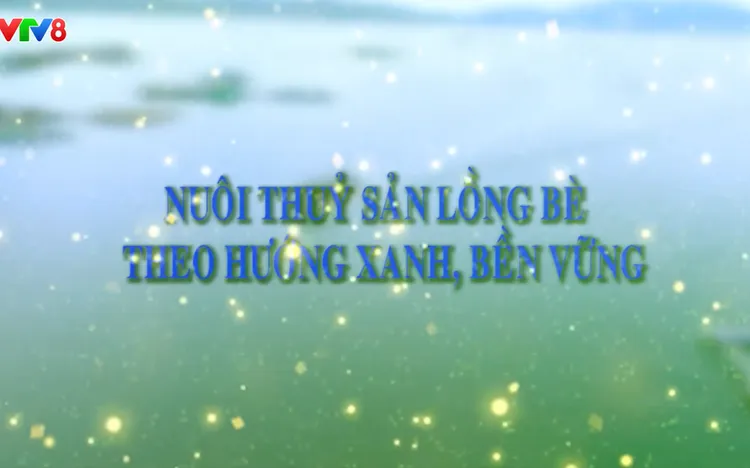 🐟 Nông nghiệp xanh: Nuôi thủy sản lồng bè theo hướng xanh, bền vững