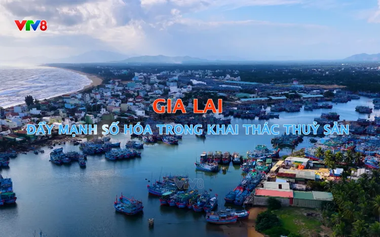  Phóng sự : Gia Lai - Đẩy mạnh số hóa trong khai thác thủy sản