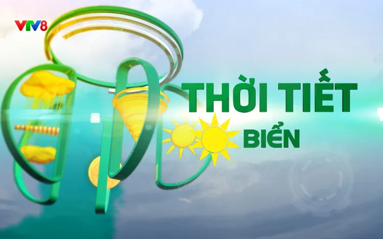 Dự báo thời tiết 21/10: Biển động mạnh, đông bắc Biển Đông gió giật cấp 9 - cảnh báo lốc xoáy từ Quảng Trị đến An Giang.