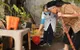 Hà Nội: Số ca mắc sởi và tay chân miệng giảm nhẹ, cảnh giác với nguy cơ bùng phát sốt xuất huyết