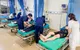4 học sinh bị ong đốt nguy hiểm sau trò đùa ném tổ ong của bạn