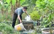 Chủ động phòng sốt xuất huyết: Mỗi nhà 10 phút, cộng đồng an toàn