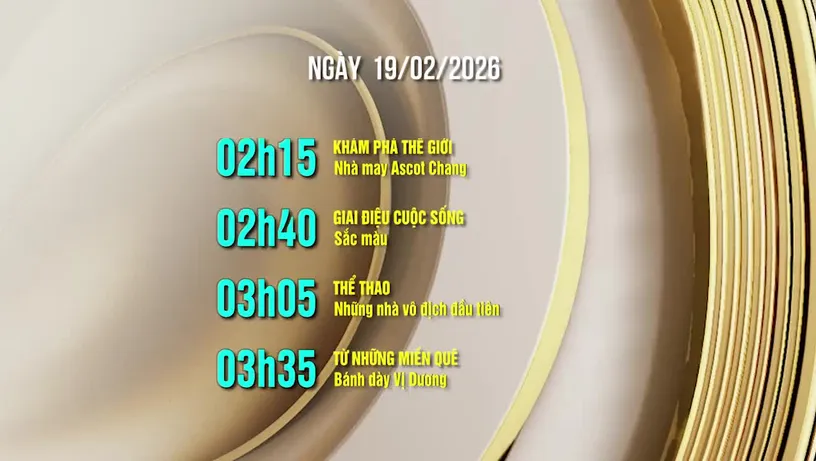 Lịch phát sóng kênh VTV8 - ngày 19/02/2026