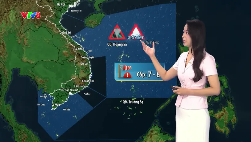 Bản tin thời tiết ngày 08/09/2026: Miền Trung và Nam Bộ mưa dông, biển động mạnh