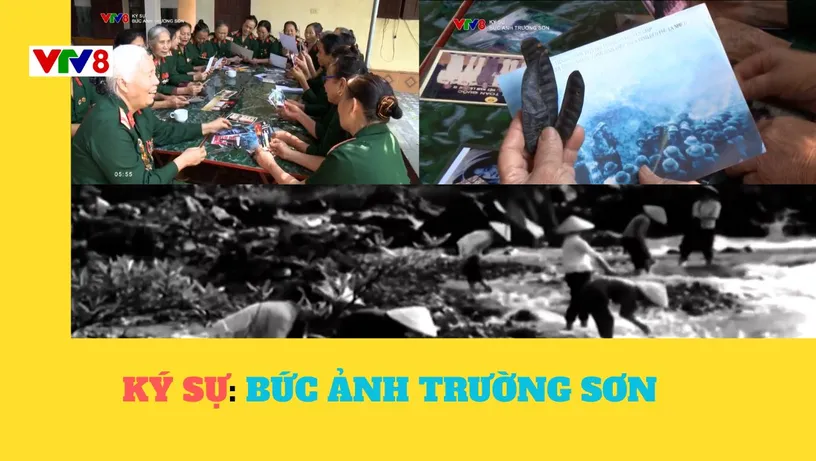 Ký sự: BỨC ẢNH TRƯỜNG SƠN 