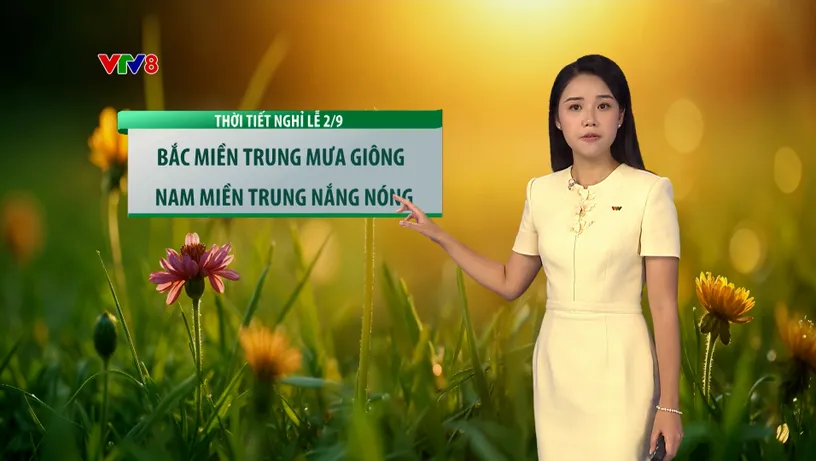 Dự báo thời tiết 26/08/2026: Miền Trung nắng nóng gay gắt, Hà Nội & TP.HCM đề phòng mưa giông