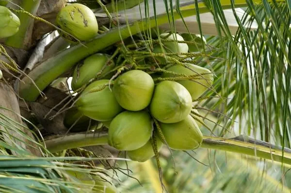 Bản tin Thị trường 24h ngày 22/04/2026