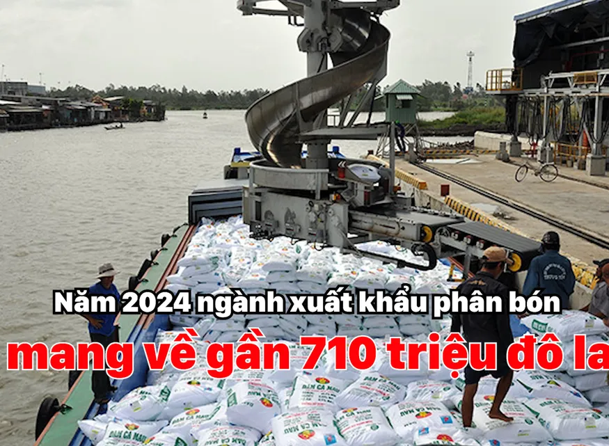 Xuất khẩu phân bón mang về gần 710 triệu USD trong năm 2024