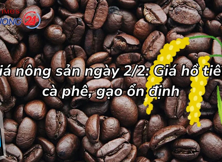 Giá nông sản ngày 2/2: Giá hồ tiêu, cà phê, gạo ổn định