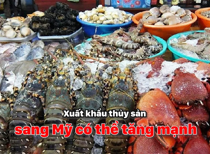 Xuất khẩu thủy sản sang Mỹ có thể tăng mạnh