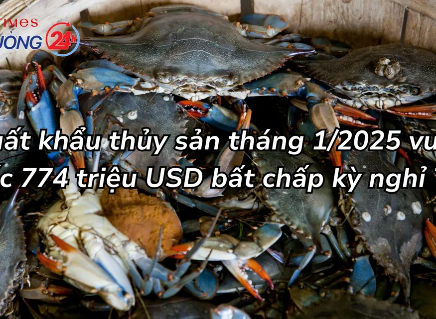 Xuất khẩu thủy sản tháng 1/2025 vượt mốc 774 triệu USD bất chấp kỳ nghỉ Tết