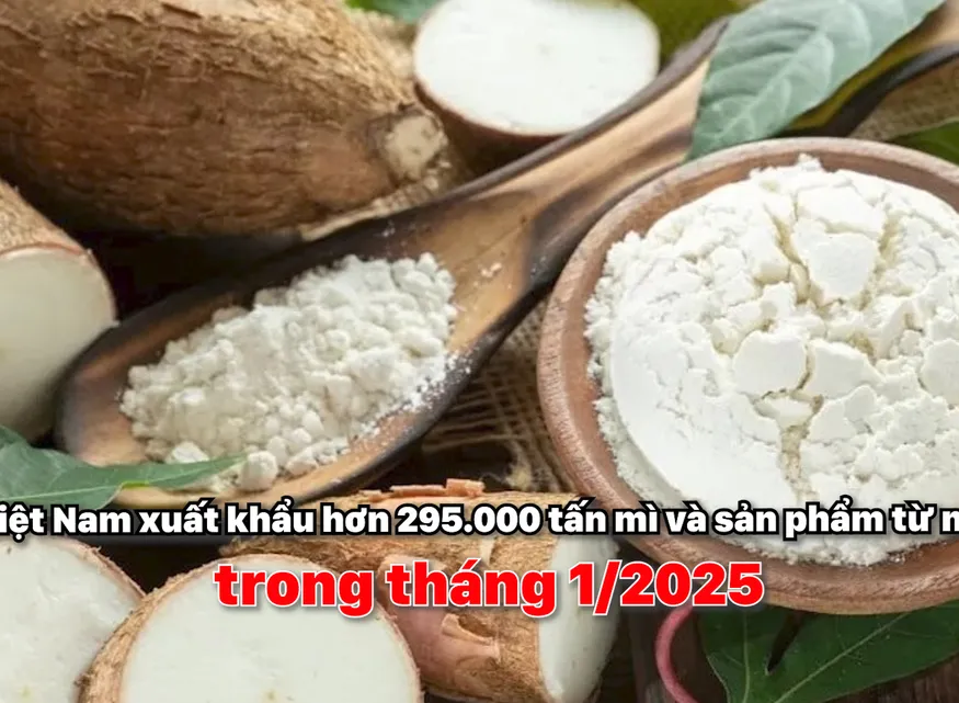 Việt Nam xuất khẩu hơn 295.000 tấn mì và sản phẩm từ mì trong tháng 1/2025