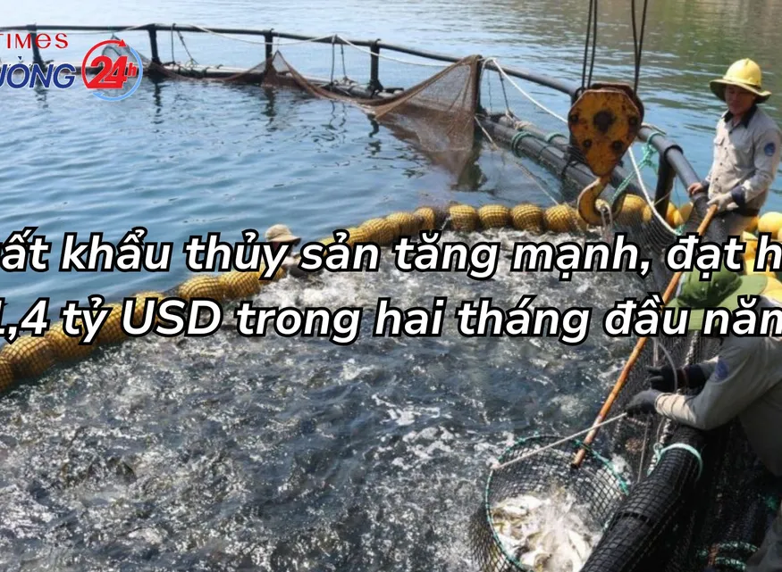 Xuất khẩu thủy sản tăng mạnh, đạt hơn 1,4 tỷ USD trong hai tháng đầu năm