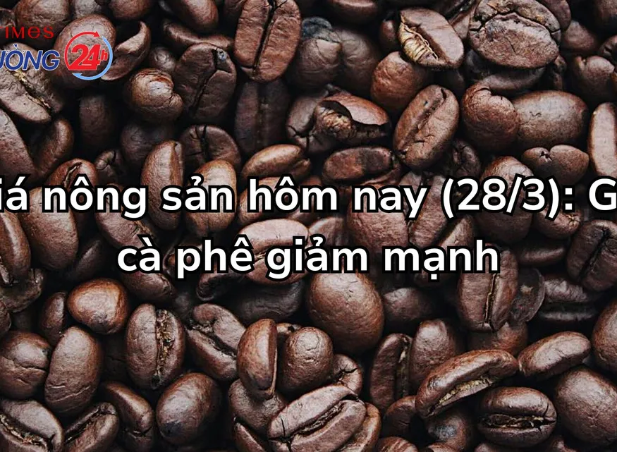 Giá nông sản hôm nay (28/3): giá cà phê giảm mạnh