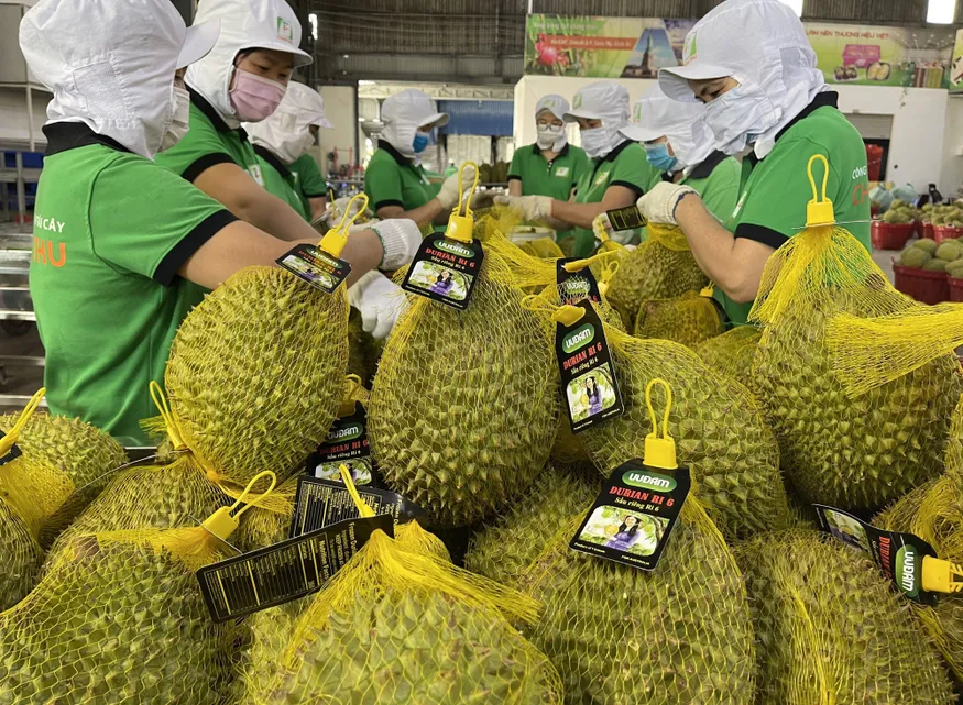 Bản tin Thị trường 24h ngày 25/2/2026