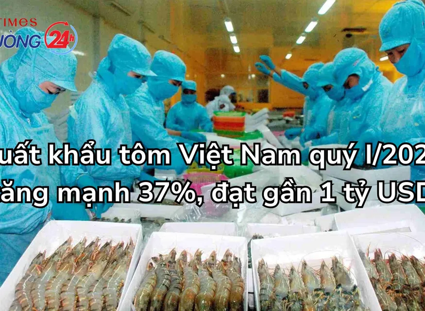 Xuất khẩu tôm Việt Nam quý I/2025 tăng mạnh 37%, đạt gần 1 tỷ USD