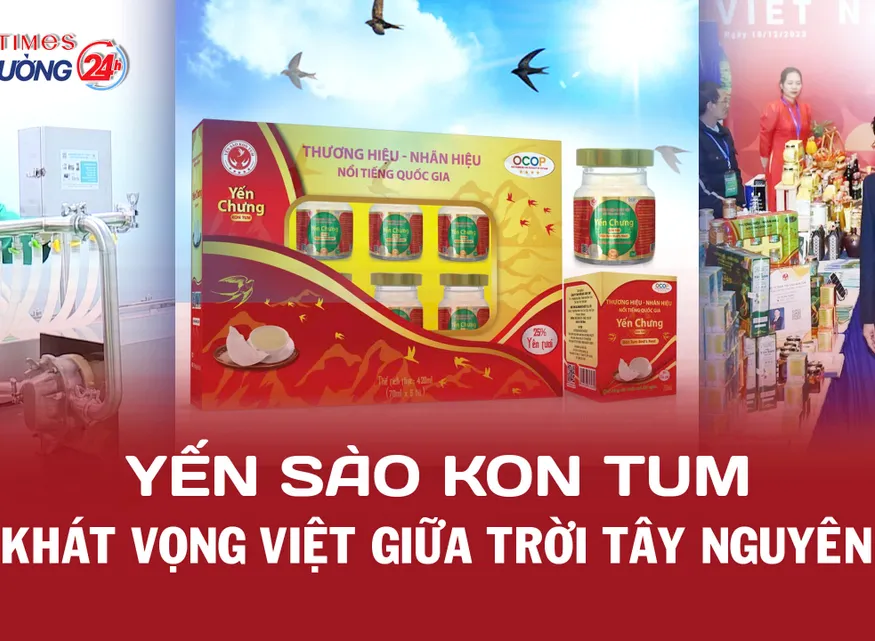 Yến sào Kon Tum – Khát vọng Việt giữa trời Tây Nguyên