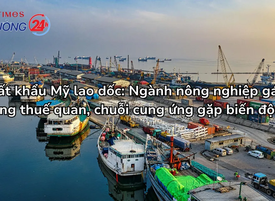 Xuất khẩu Mỹ lao dốc: Ngành nông nghiệp gánh nặng thuế quan, chuỗi cung ứng gặp biến động
