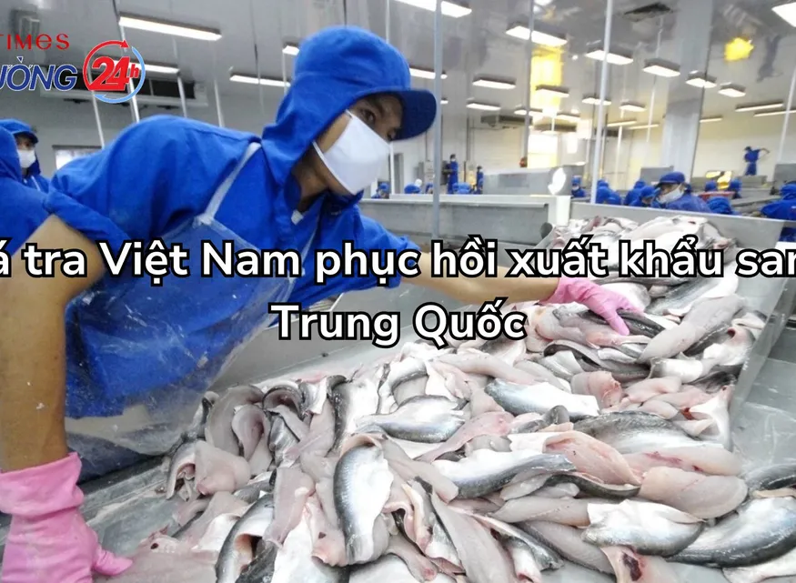 Cá tra Việt Nam phục hồi xuất khẩu sang Trung Quốc