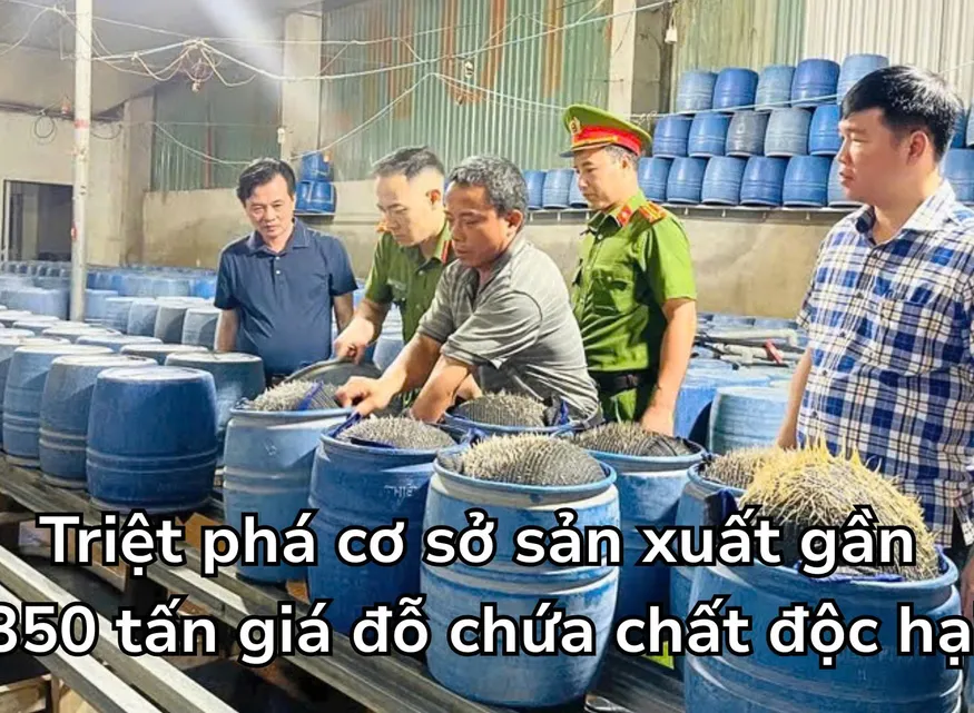 Lào Cai: Triệt phá cơ sở sản xuất gần 350 tấn giá đỗ chứa chất độc hại