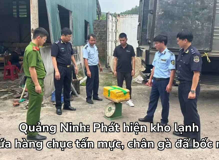 Phát hiện kho lạnh chứa hàng chục tấn mực, chân gà đã bốc mùi