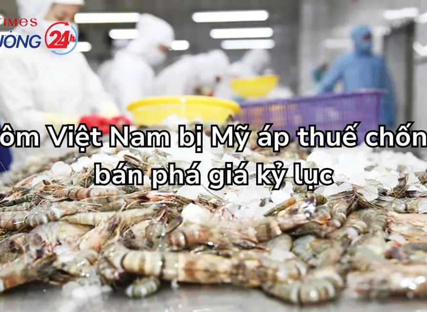Tôm Việt Nam bị Mỹ áp thuế chống bán phá giá kỷ lục