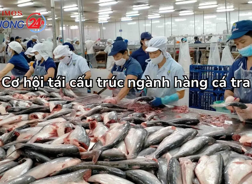 Cơ hội tái cấu trúc ngành hàng cá tra