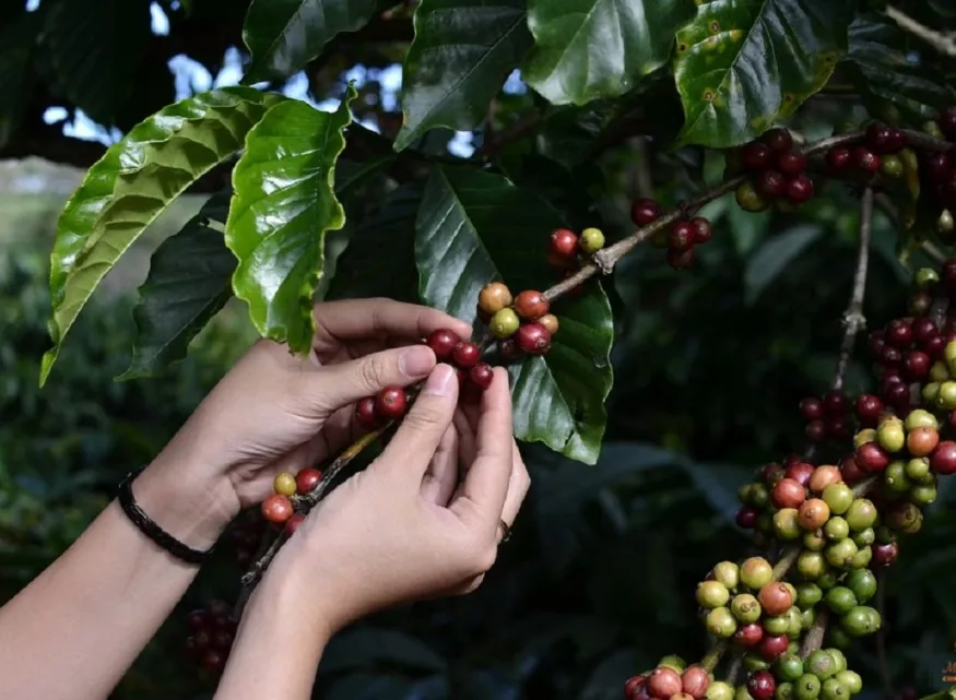 Bản tin Thị trường 24h ngày 26/02/2026