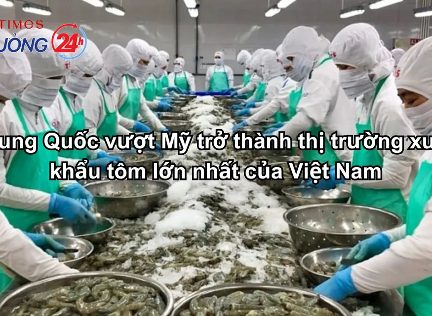Trung Quốc vượt Mỹ! – Trở thành thị trường xuất khẩu tôm lớn nhất của Việt Nam