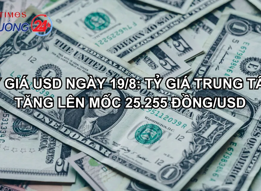 Tỷ giá USD ngày 19/8: Tỷ giá trung tâm tăng lên mốc 25.255 đồng/USD