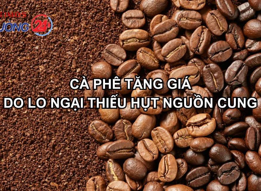 Cà phê tăng giá do lo ngại thiếu hụt nguồn cung