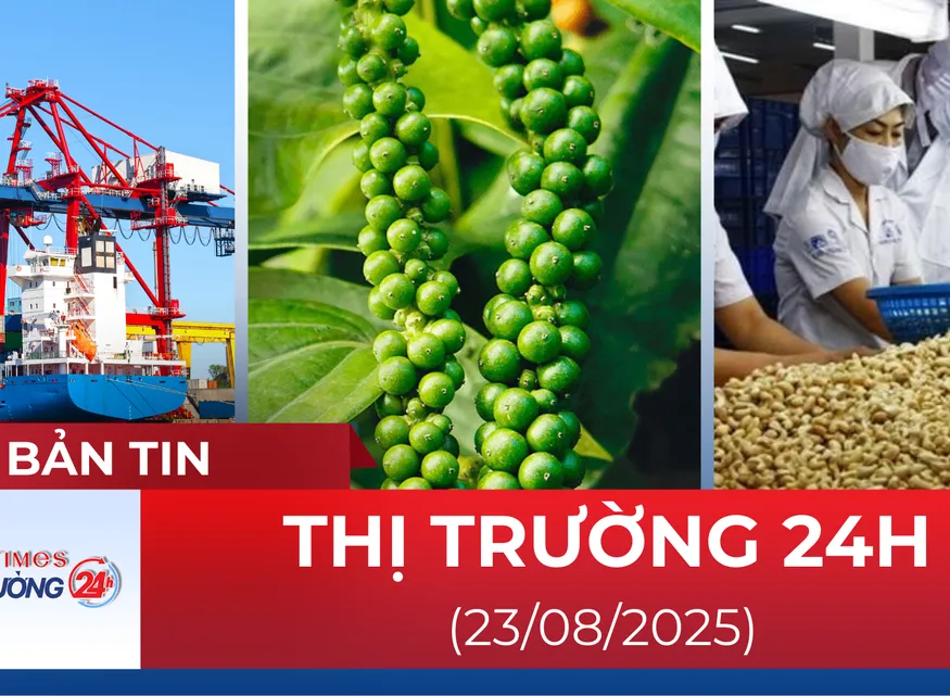 Bản tin Thị trường 24h ngày 23/8