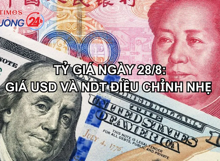 Tỷ giá ngày 28/8: Giá USD và NDT điều chỉnh nhẹ