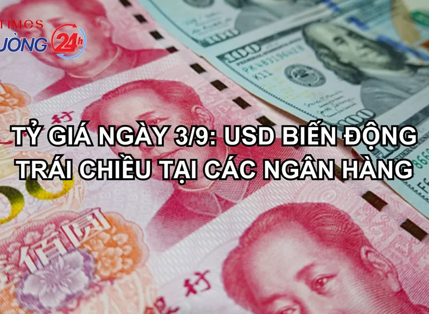 Tỷ giá ngày 3/9: USD biến động trái chiều tại các ngân hàng