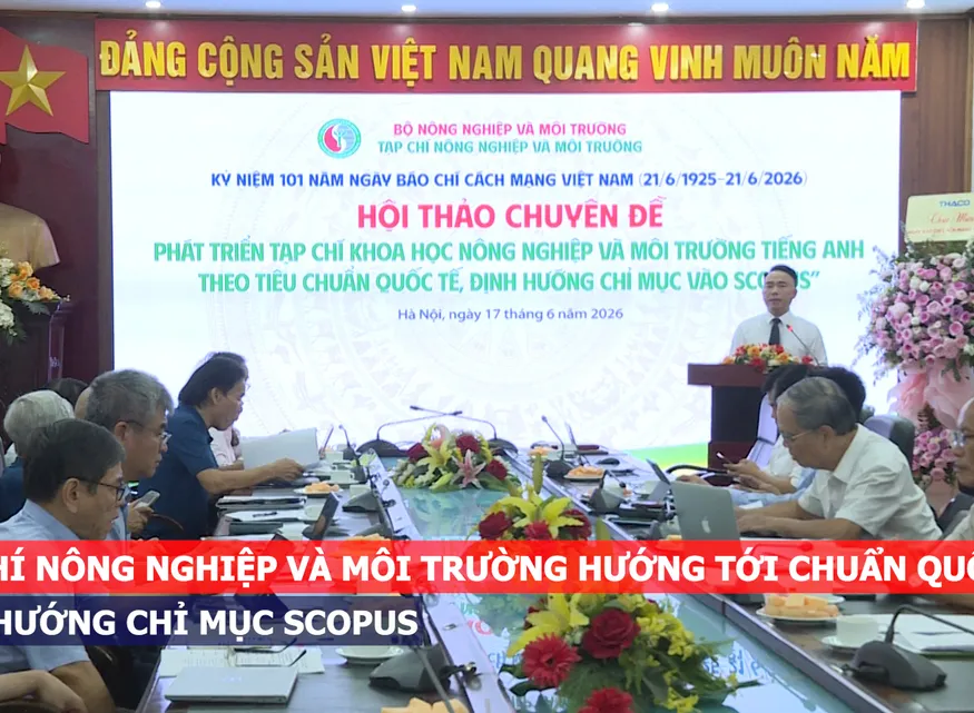 Tạp chí khoa học hướng tới chỉ mục quốc tế Scopus