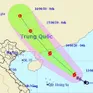 Bão số 1 giật cấp 12, Bắc Bộ có mưa lớn