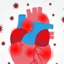 COVID-19 gây tổn thương ADN trong các mô tim