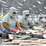 Kim ngạch xuất khẩu cá tra ước đạt 725 triệu USD trong 5 tháng