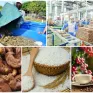 Xuất khẩu nông lâm thủy sản: Định vị thương hiệu để giá trị tăng trưởng bền vững